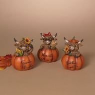 4.9"H Resin Harvest Highland Cow in Pumpkin, 3 Asst