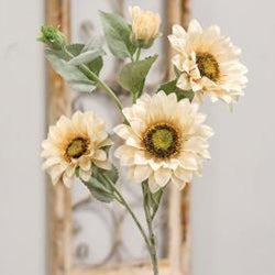 Sunflower Blooms Spray, Champagne