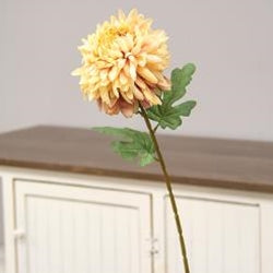 Chrysanthemum Branch, Peach