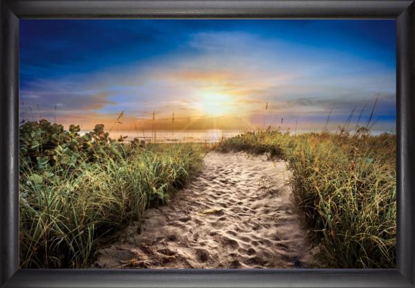 Dune Trail In Sunrise