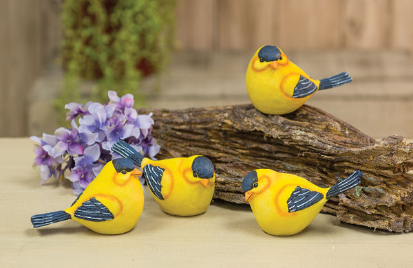 Gold Finch