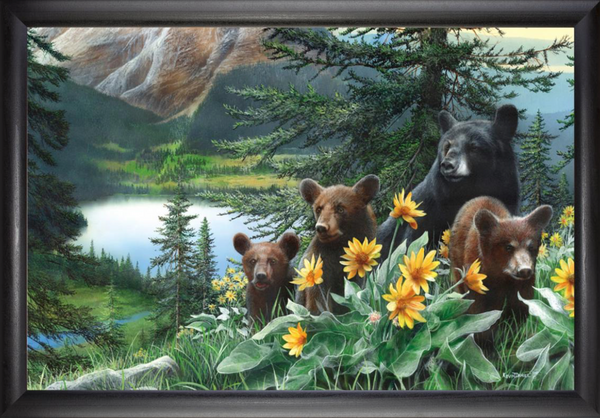 Basking in the Balsams