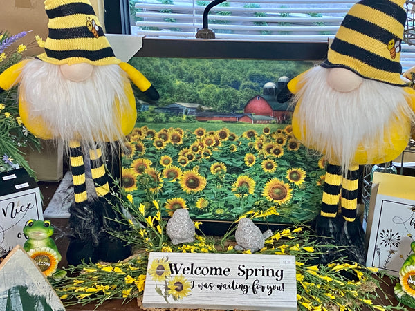 Sunflower, Gnomes, and Welcome Spring