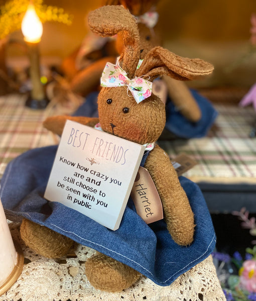 Best Friends and a Primitive Bunny