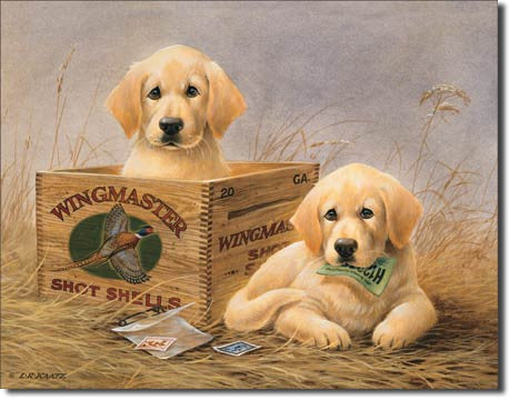 KAATZ - Wingmasters Tin Sign