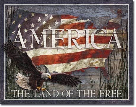 America - Land of Free