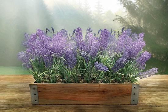 Lavender Planter