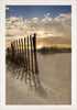 Dune Fence at Sunrise