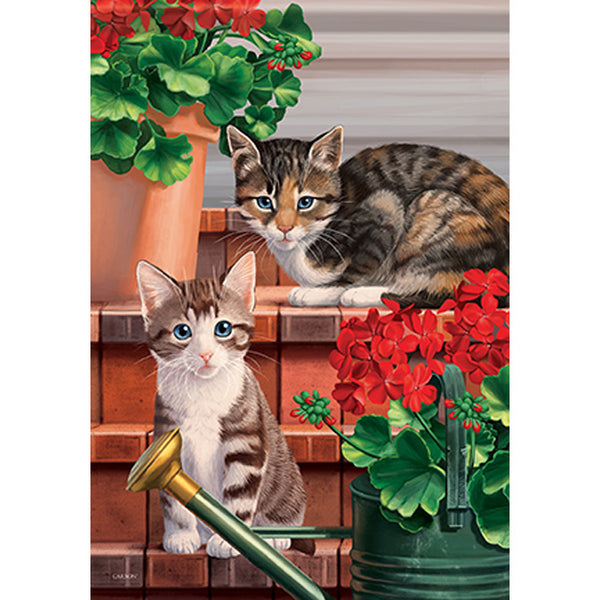 "Curious Kittens" Dura Soft™ Flag