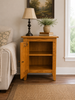 Accent Table - Single Door Cabinet with Raised Panel - Seely