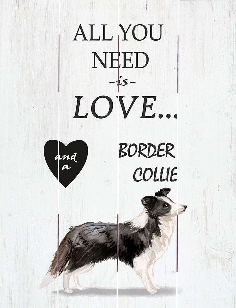 Love and Border Collie