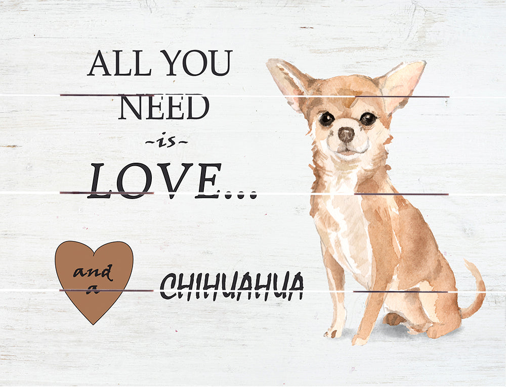 Love and Chihuahua