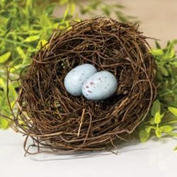 Angelvine Bird Nest With Eggs
