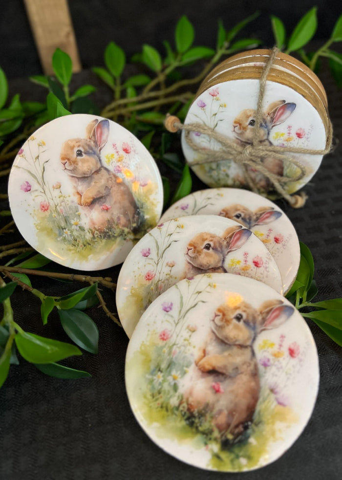 Daisy Bunny Coasters Set of 4