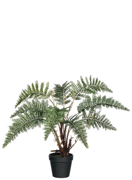 Fern Potted Plant-25" High
