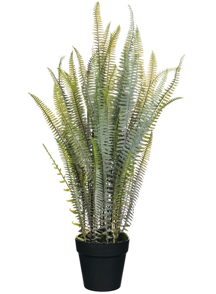 Fern Potted Plant-30" High