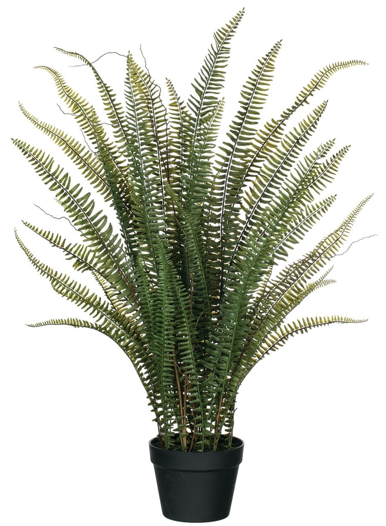 Potted Fern-38" High