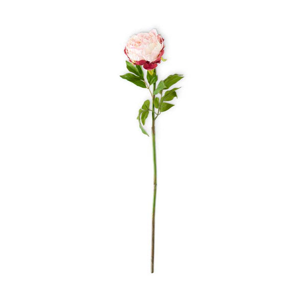 Pink Peony Single Bloom Stem