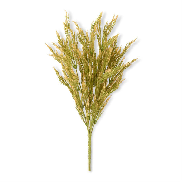 Wheat Bush - Green