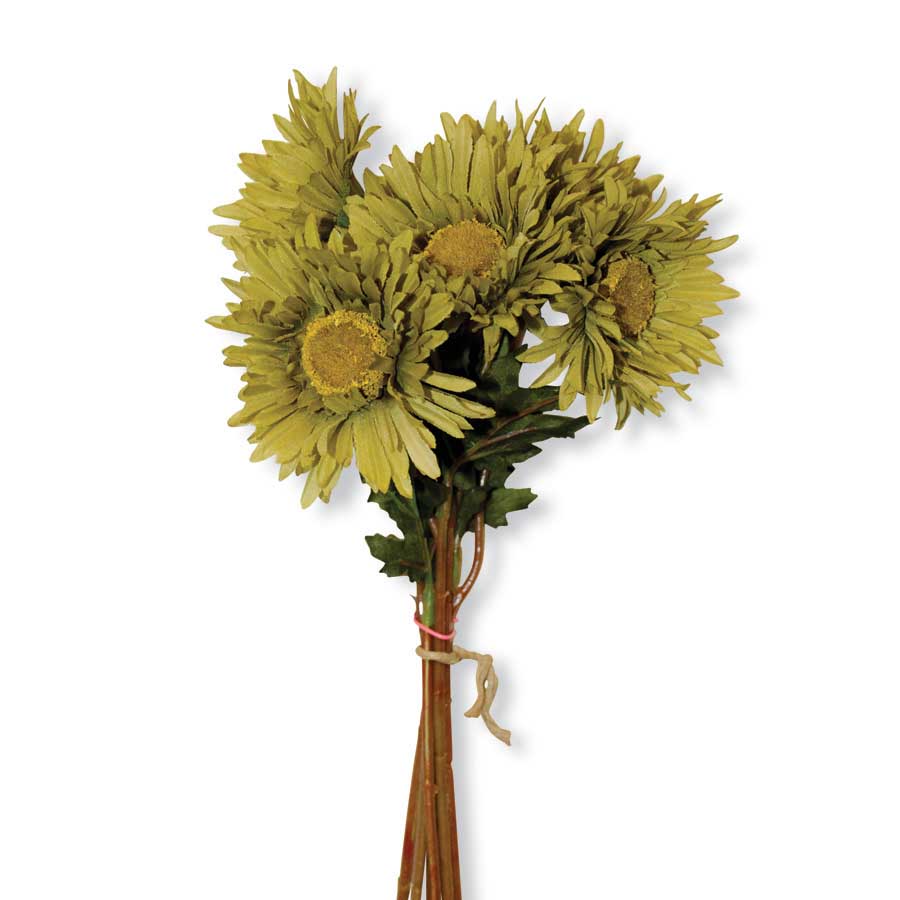 Sunflowers - Bundle of 6 Green