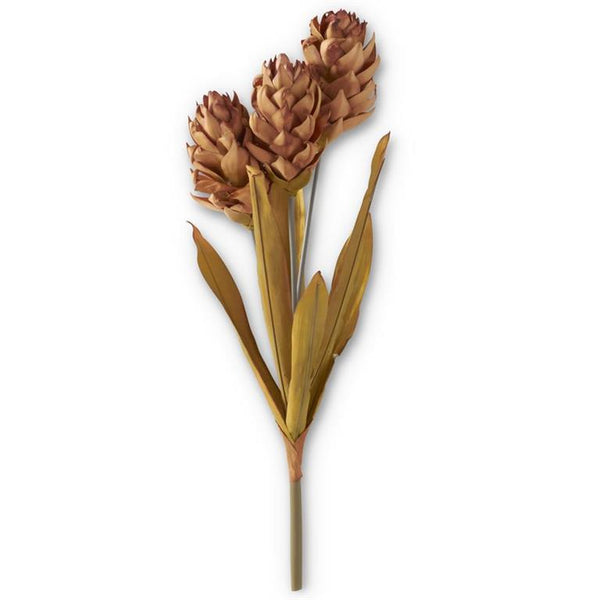Ginger Triple Flower Stem - Brown