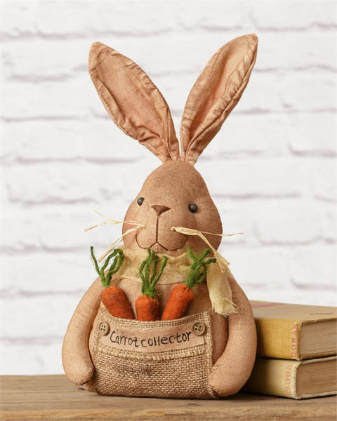 Bunny Carrot Collector