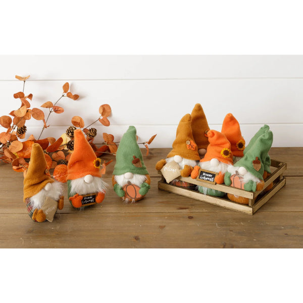 Fall Gnomes