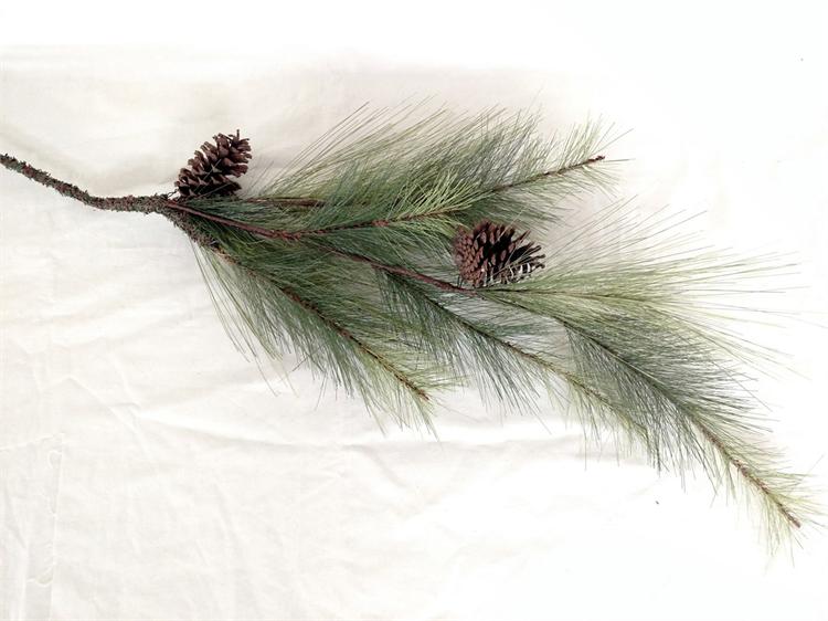 Pick - Long Pine Needles With Pinecones