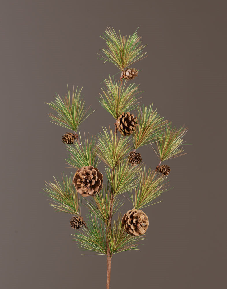 Branch - Pine With Cones