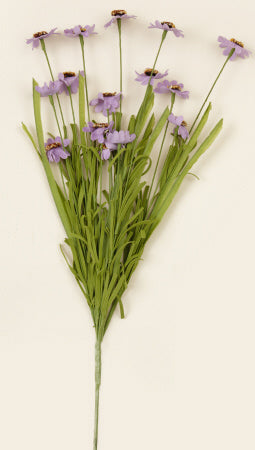 Branch - Mini Asters Lavender