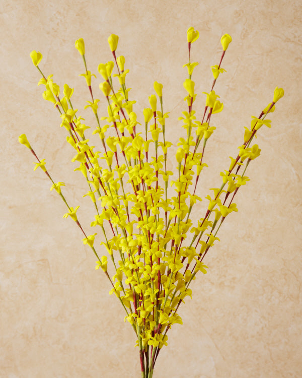 Spray - Forsythia Yellow