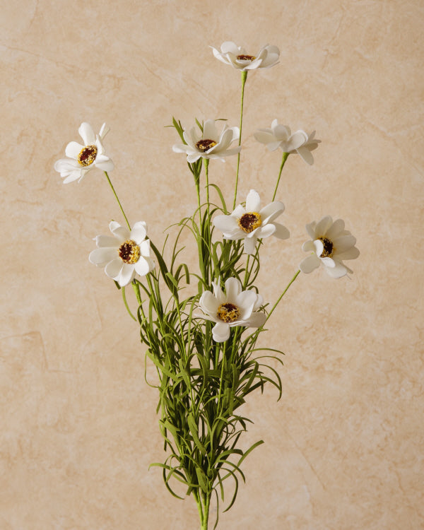 Spray - Coreopsis White