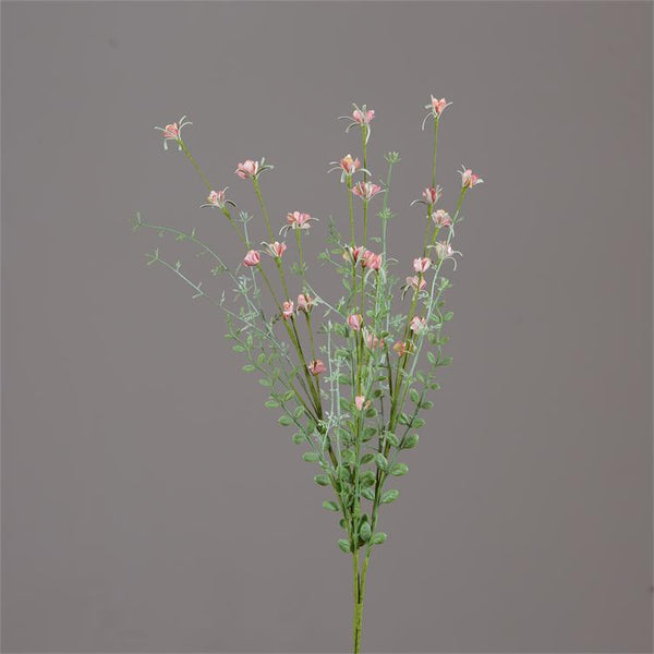 Stem - Baby's Breath Coral