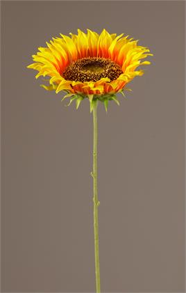 Stem - Yellow Orange Single Sunflower