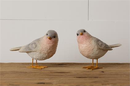 Birds-Standing