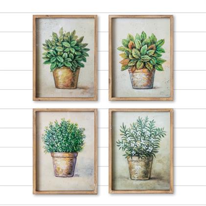 Wall Art - Potted Plants