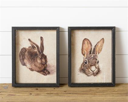 Framed Prints - Rabbits