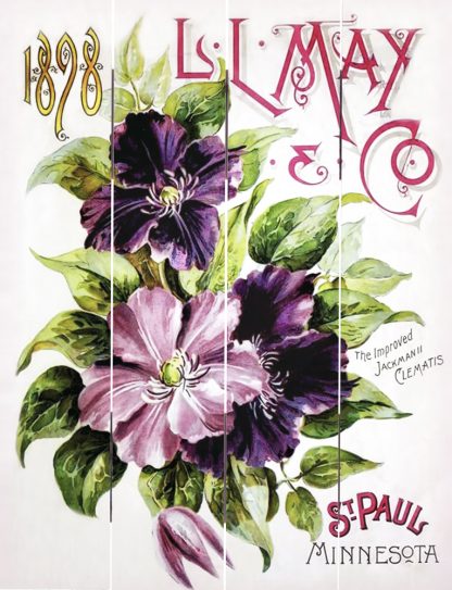 LL May & Co Clematis Pallet Art