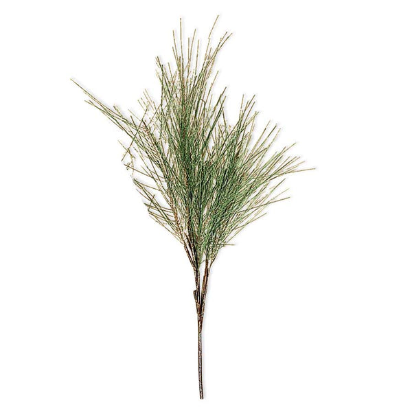 Long Needle Pine Branch