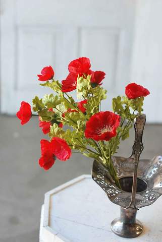 20" Poppies Please-Red