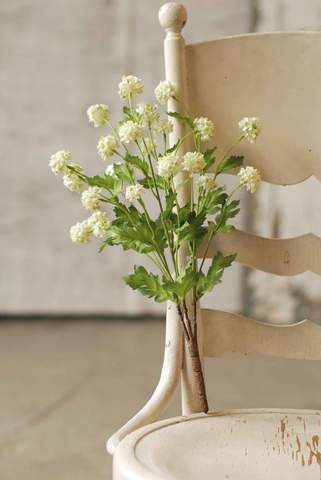 16" Mini Allium with Foliage-Cream