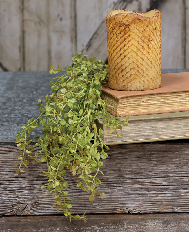 Hanging Baby Grass