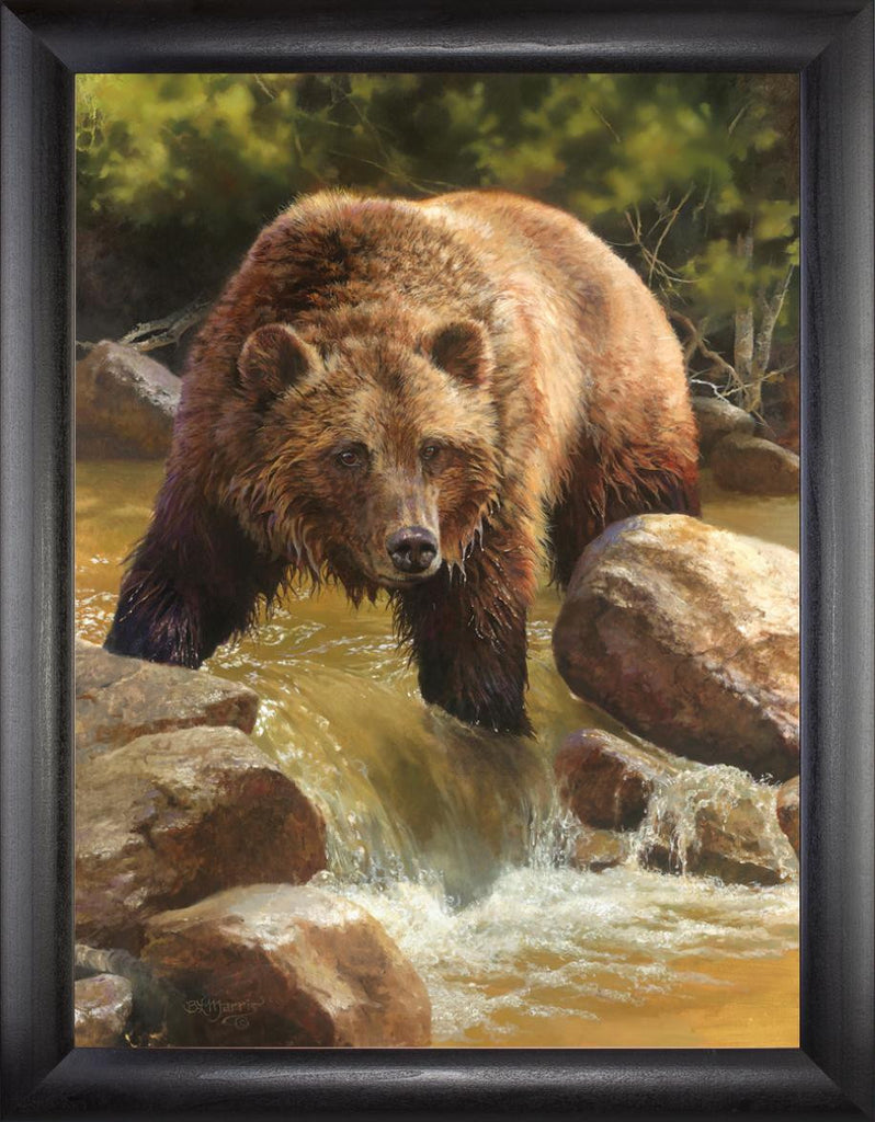 Grizzly at Roaring Creek