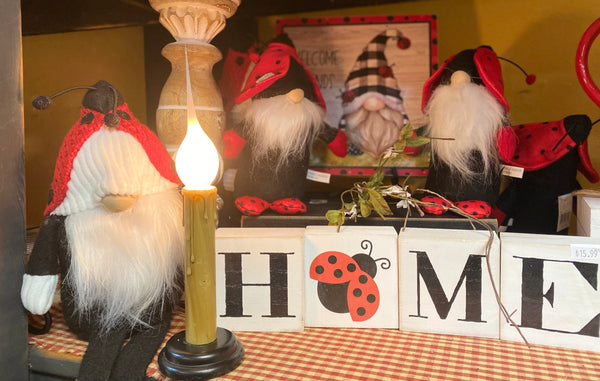 Welcome Ladybug Gnome Friends!