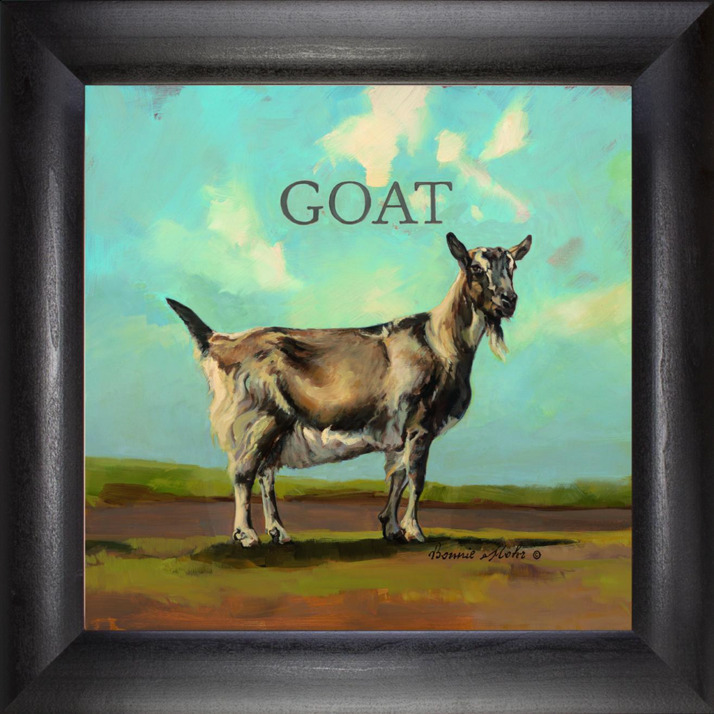 Gracy the Goat