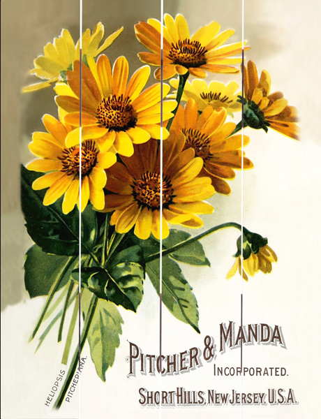Pitcher & Manda Pallet Art