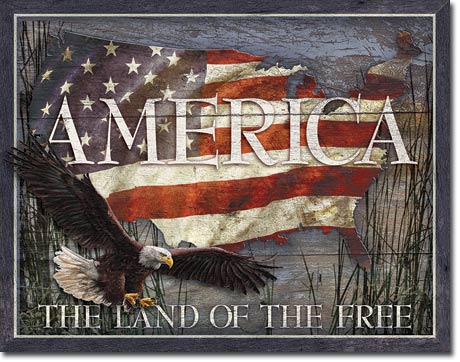 America - Land of Free
